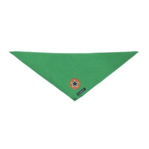 Bandana verde stella