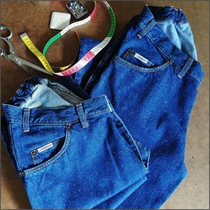 EVOLUZIONE GIAPPONESE